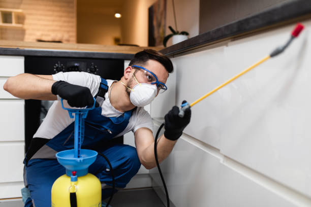 Flea Control Services in Bonne Terre, MO