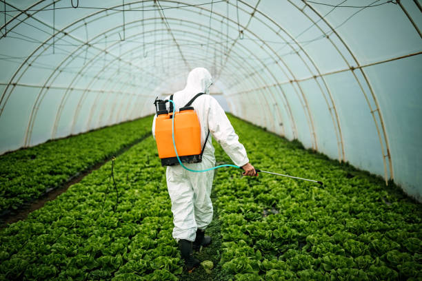 Best Affordable Pest Control Services  in Bonne Terre, MO