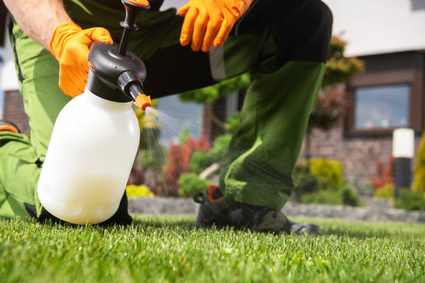 Pest Control for Restaurants in Bonne Terre, MO