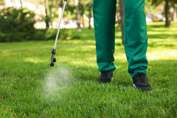 Best Commercial Pest Control Services  in Bonne Terre, MO