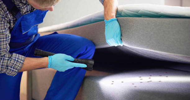 Best Residential Pest Control  in Bonne Terre, MO