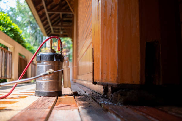 Best Ant Control Services  in Bonne Terre, MO