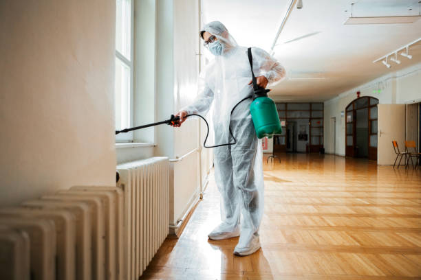 Best Pest Removal Services  in Bonne Terre, MO