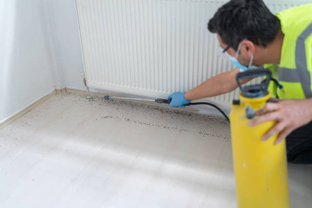 Trusted Bonne Terre, MO Pest Control Experts