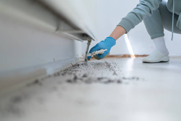 Best Best Pest Control Companies  in Bonne Terre, MO
