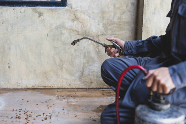 Best Mosquito Control Services  in Bonne Terre, MO